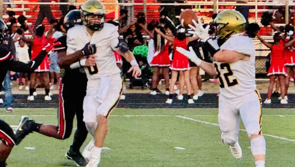 Vote Now: Which local football team will improve the most?