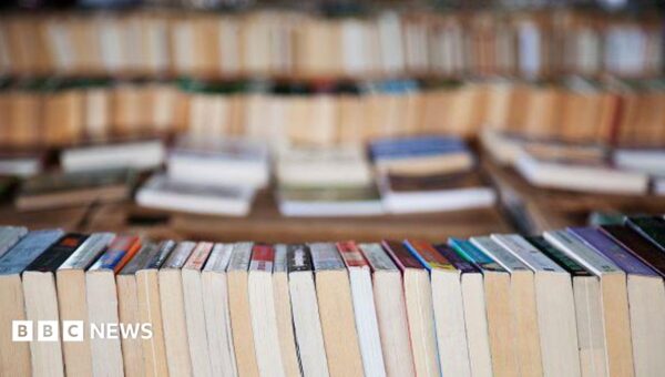 Secondhand book sales are booming. Is it because of AI?