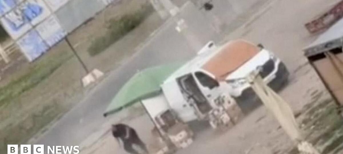 Video shows Russian drone chasing Ukrainian street vendor in 'human safari' attack