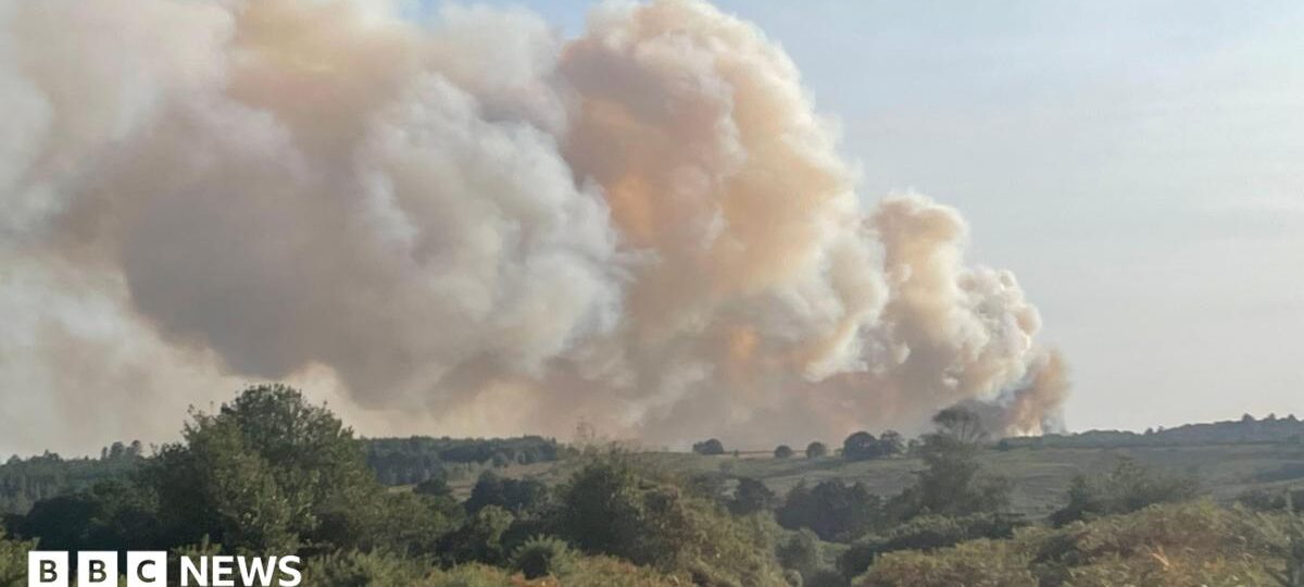 Vehicle fire shuts stretch of A31 as fire crews combat blaze