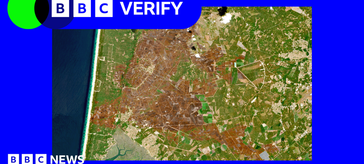 Europe's scorched landscapes seen from space after summer heatwaves