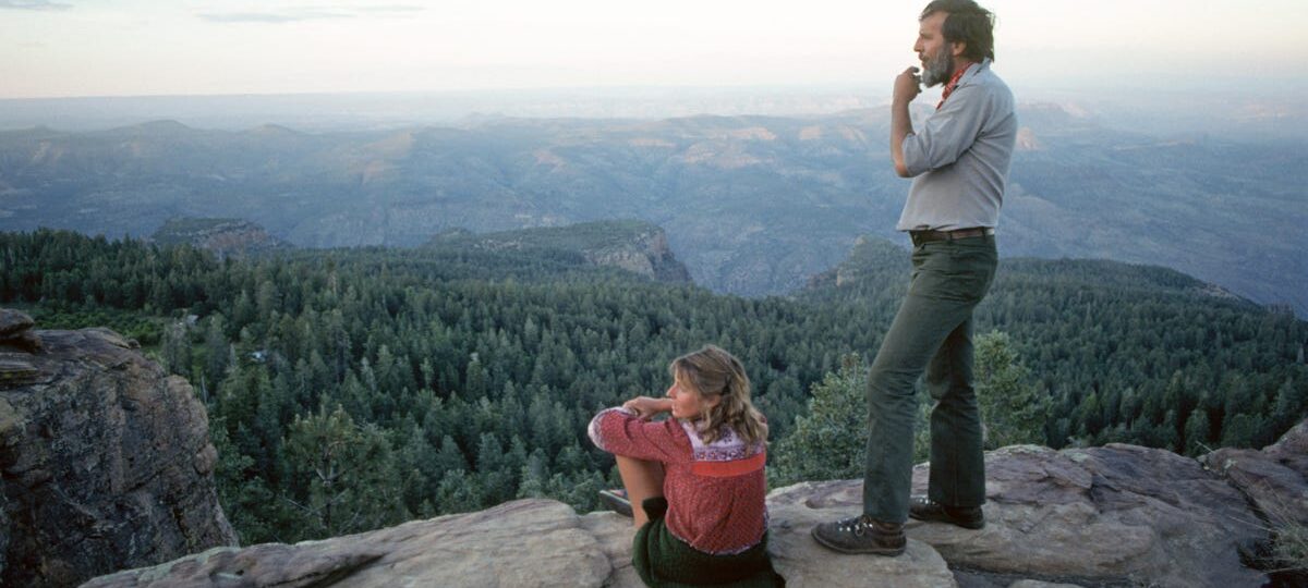 Photos show how FDR’s ‘tree army’ helped shape America’s national parks — and how the NPS has changed since