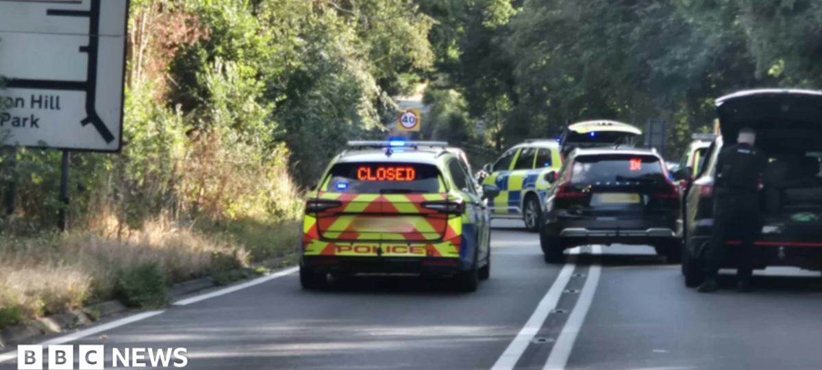 Woman injured in fatal police pursuit crash dies
