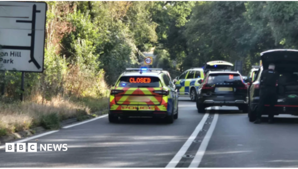 Woman injured in fatal police pursuit crash dies