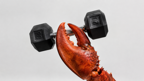 Tech industry is buzzing after a Claude agent hacked into a gym