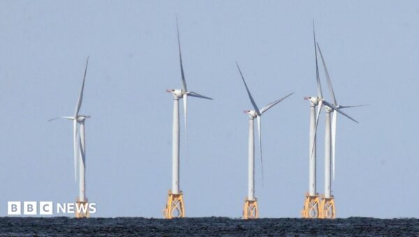 US strikes $1.2bn deal to pay German firm to halt offshore wind projects