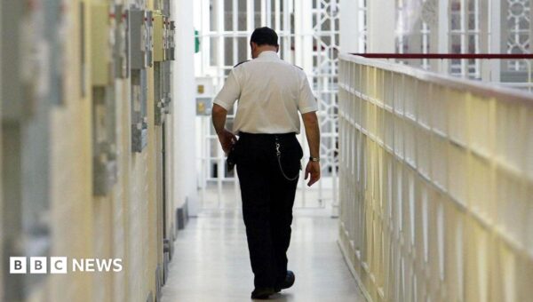 ‘Overwhelmed’ probation officers warn of early prison release crime risk
