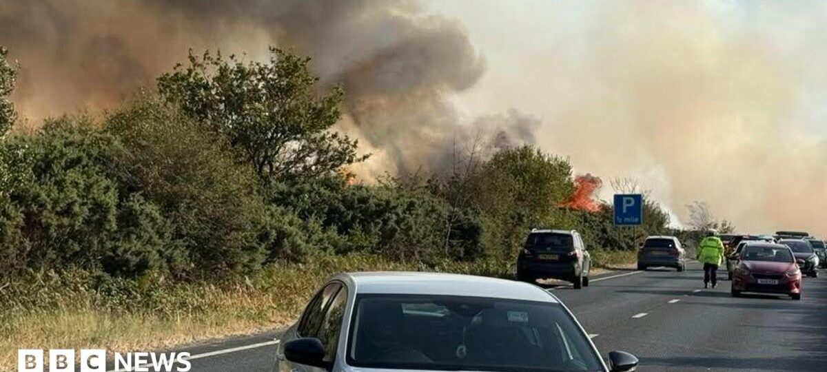 New Forest firefighting to continue overnight as cars abandoned