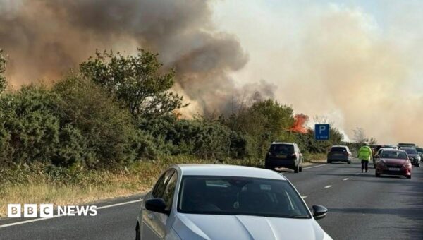 New Forest firefighting to continue overnight as cars abandoned