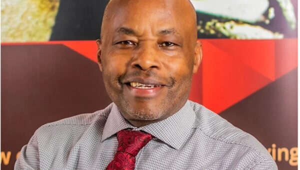 ‘African courts have become ‘commodified’ – Kenyan professor
