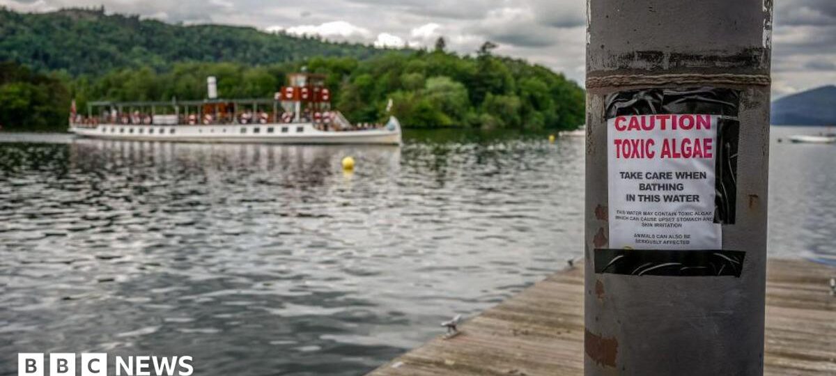 Majority of England's rivers and lakes fail new environmental review