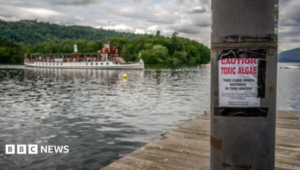 Majority of England’s rivers and lakes fail new environmental review