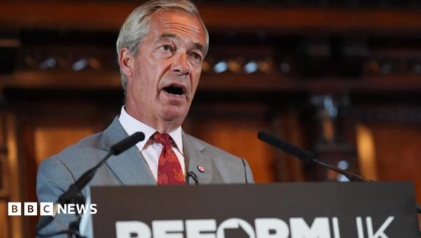 Nigel Farage says incident at his home ‘directly linked’ to Ann Widdecombe murder