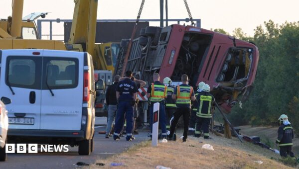 Twelve killed as Polish bus veers off Hungarian motorway