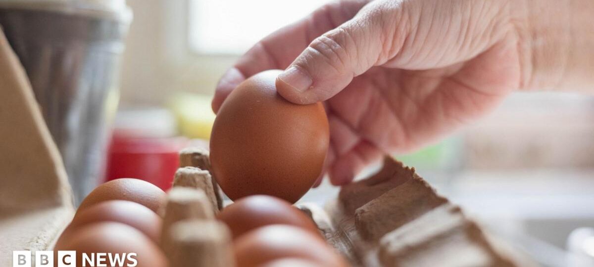 Salmonella outbreak: What we know so far