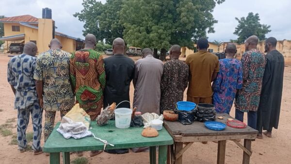 Police arrest 10 suspected human parts sellers in Oyo