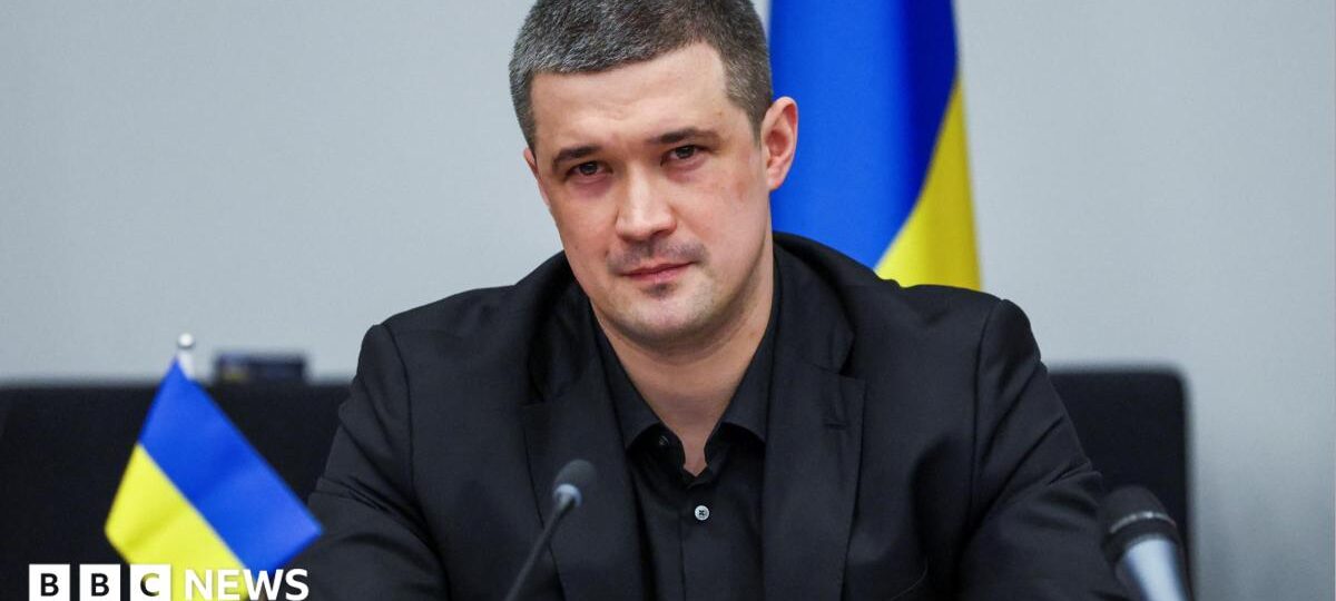 Sacked Ukrainian defence minister calls for presidential election