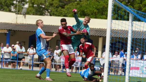 Tony Mowbray has his say on Celtic’s interest in Balazs Toth