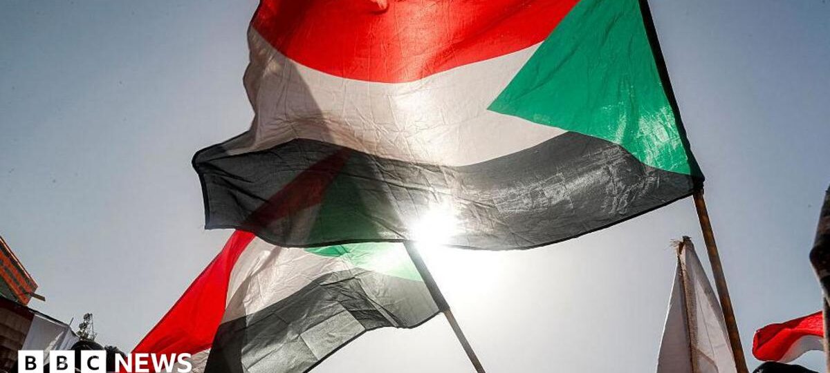 Sudan army drone strike on court session kills 35, rights group says