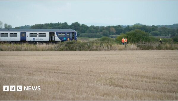Man dies after train hits van on level crossing