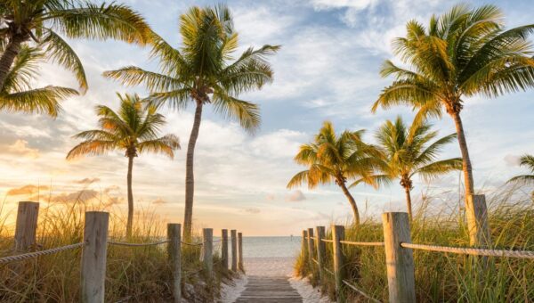 I’ve lived in Florida for over 25 years. Here are 7 places I always tell tourists to visit.