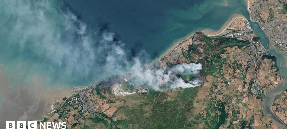 Wildfire-ravaged habitats in Wales could take centuries to recover, environmentalists say