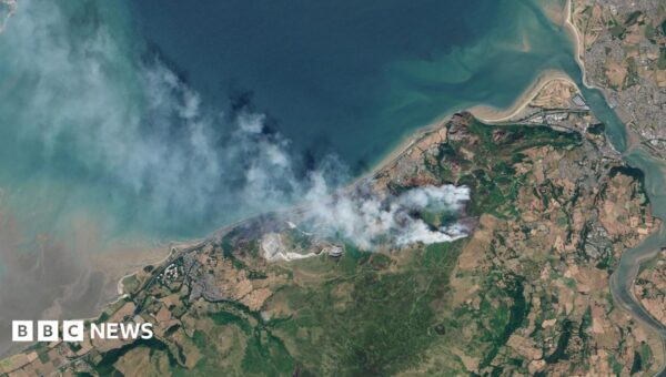 Wildfire-ravaged habitats in Wales could take centuries to recover, environmentalists say