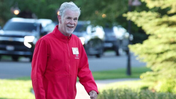 Reed Hastings says AI may push CEOs to cut their workforce in half — or expand their reach