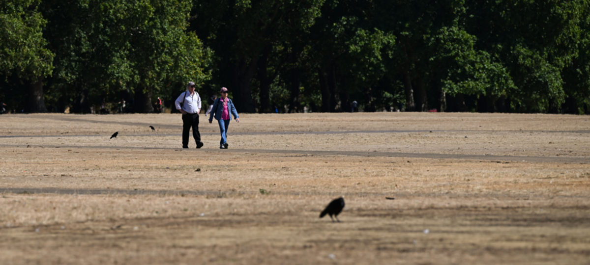 Brief relief ahead of fifth heatwave - as more areas could move into drought