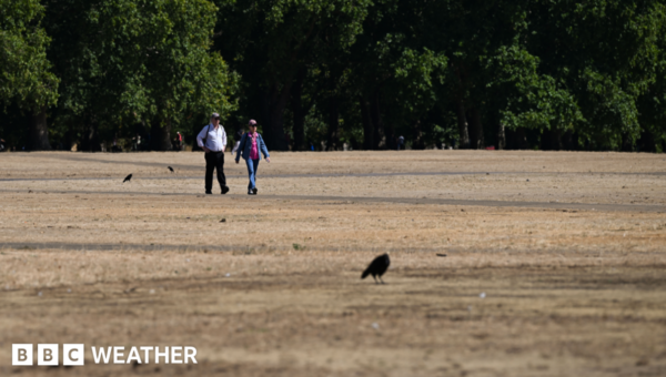 Brief relief ahead of fifth heatwave – as more areas could move into drought