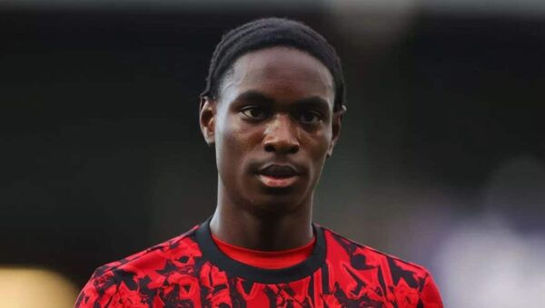 Transfer: Arsenal sign Habeeb Ogunneye