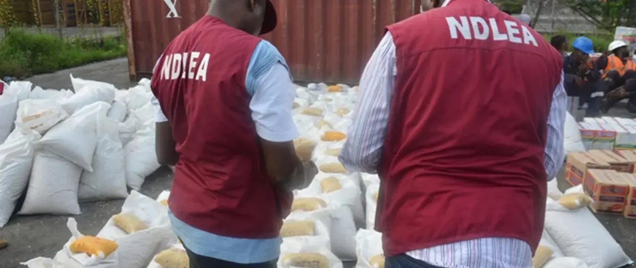 NDLEA destroys N329bn worth of illicit drugs in Lagos