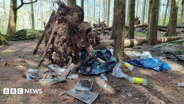 Poo, parking and poor pitching – the Lake District’s summer battles