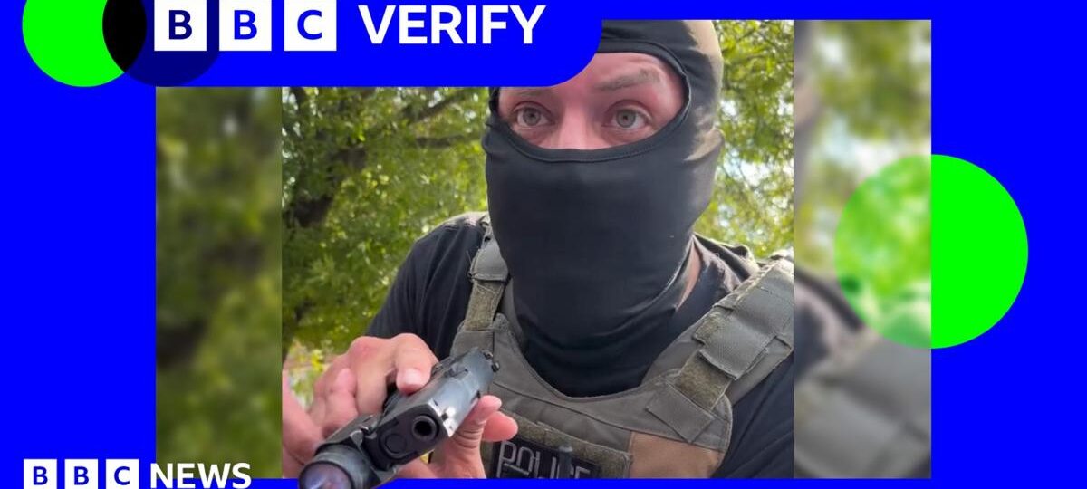 BBC Verify speaks to woman who filmed ICE agent pointing gun at her