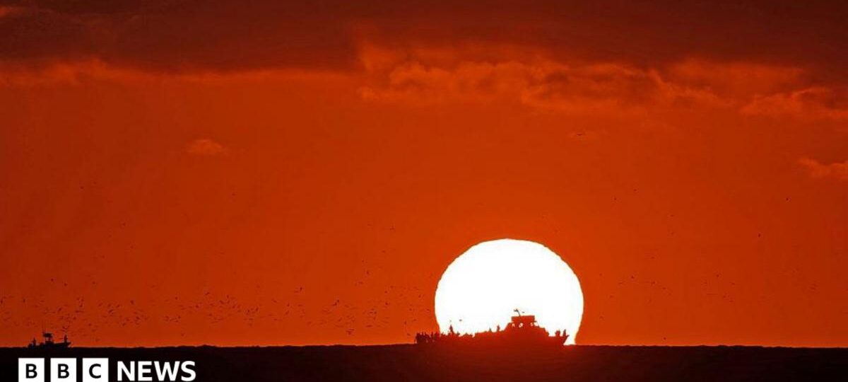 World's oceans hit highest temperature on record as El Niño grows