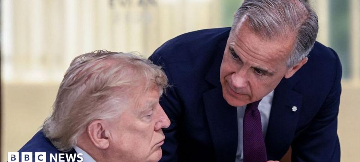 What tariffs will really cost Canadians and Americans