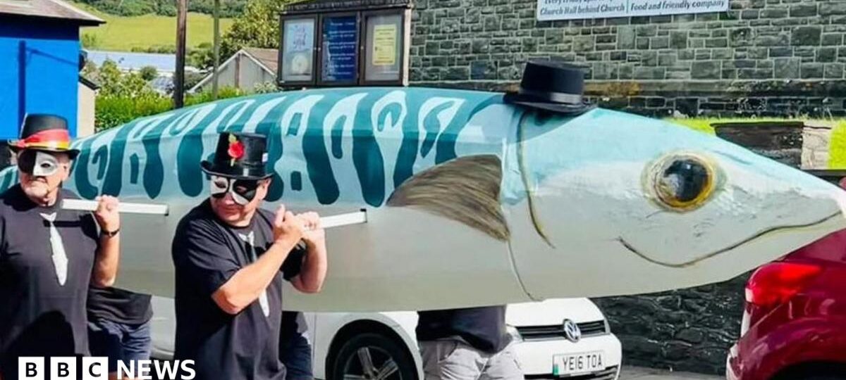 Mackerel festival should celebrate cabbage instead, say animal rights activists