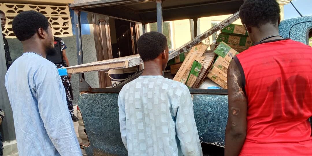 Yobe police arrest four suspects, recover stolen goat, building materials