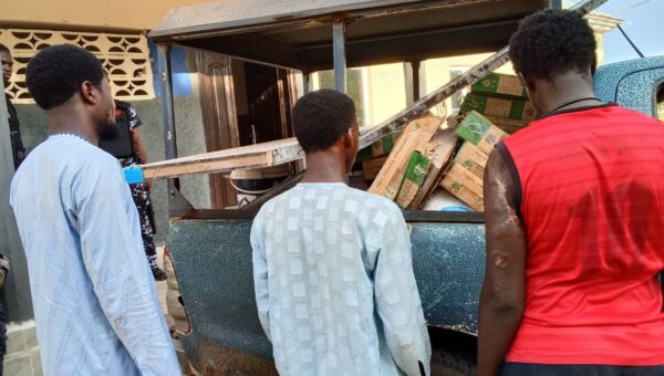 Yobe police arrest four suspects, recover stolen goat, building materials
