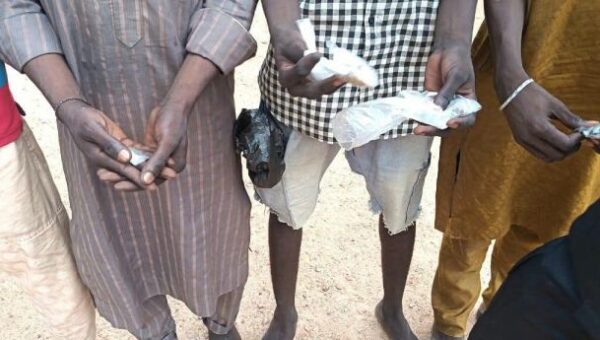 Police raid suspected ‘black spots’ in Yola, arrest 29 suspects