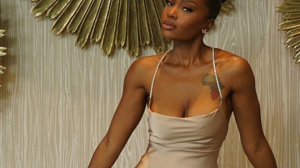 ‘Private chats are being misrepresented’ — Alicia Daniella