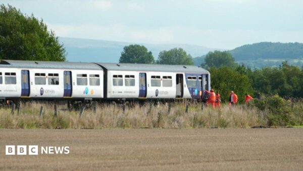 Fears over ‘high risk’ crossing after train crash death