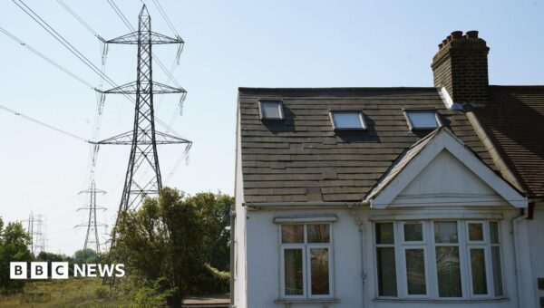 First ‘pounds for pylons’ energy bill discount sites revealed