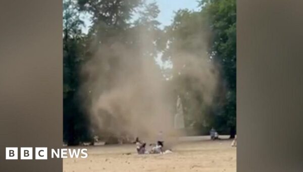 ‘Dust devil’ spins through London park