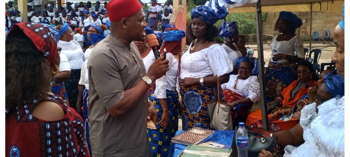 Ohanaeze takes campaign for Igbo culture, language to women’s meeting