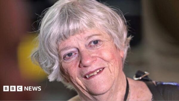 Widdecombe police reopen investigation into incident at Farage's home, BBC understands