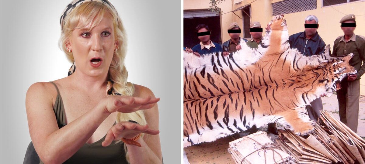 How illegal wildlife poaching actually works, according to an undercover investigator