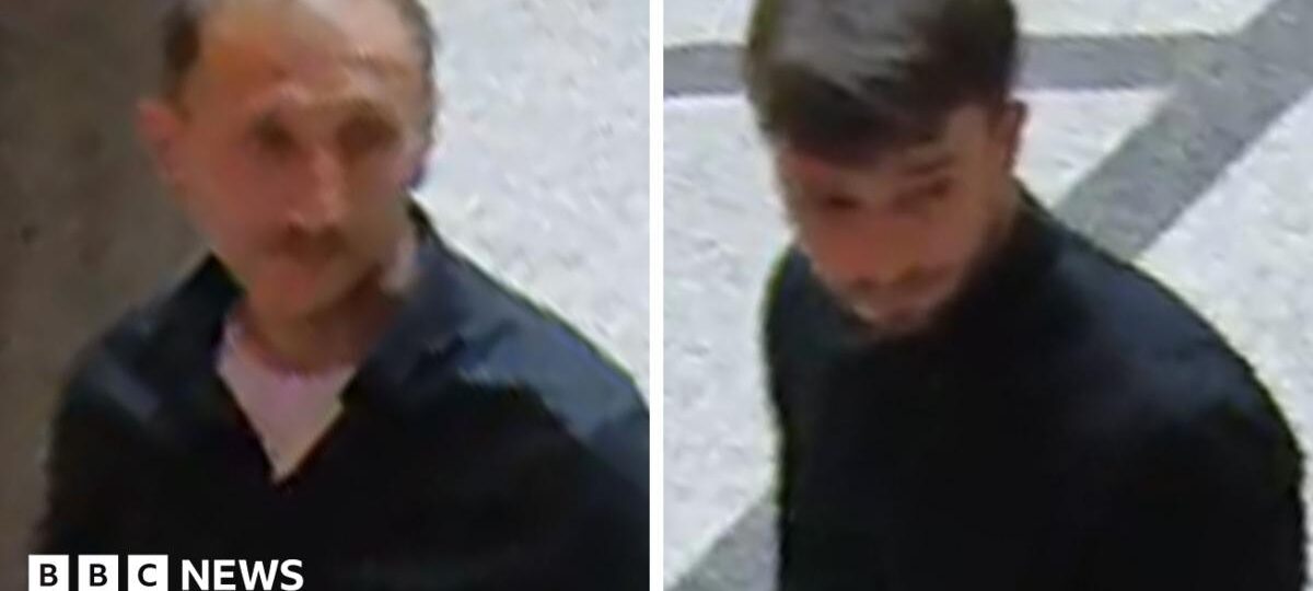 Thieves steal 600-diamond necklace from Vienna museum in broad daylight