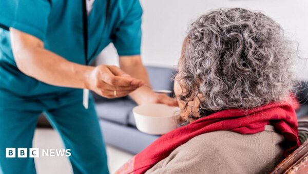 Apology after carer fed dog food to elderly woman by mistake