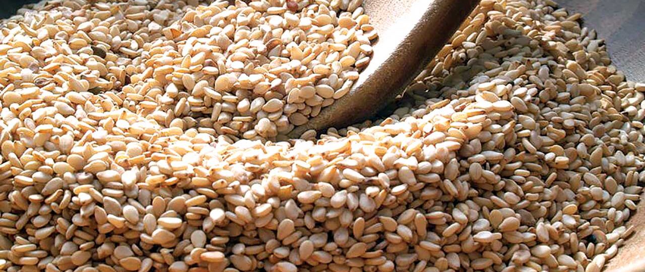 ITC begins Benue assessment to boost cowpea, sesame exports